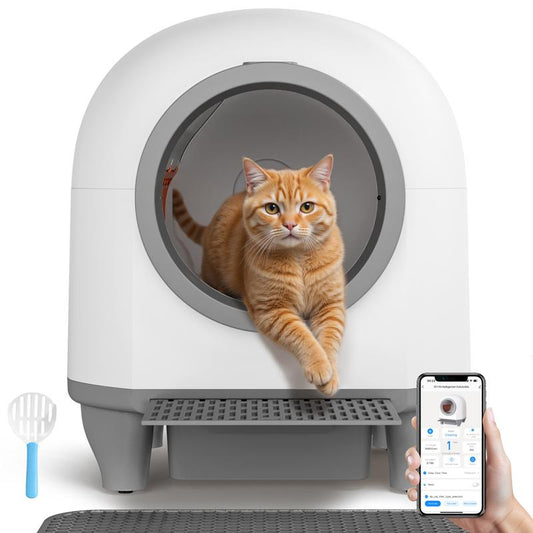 Geräuscharme Selbstreinigung für Katzen